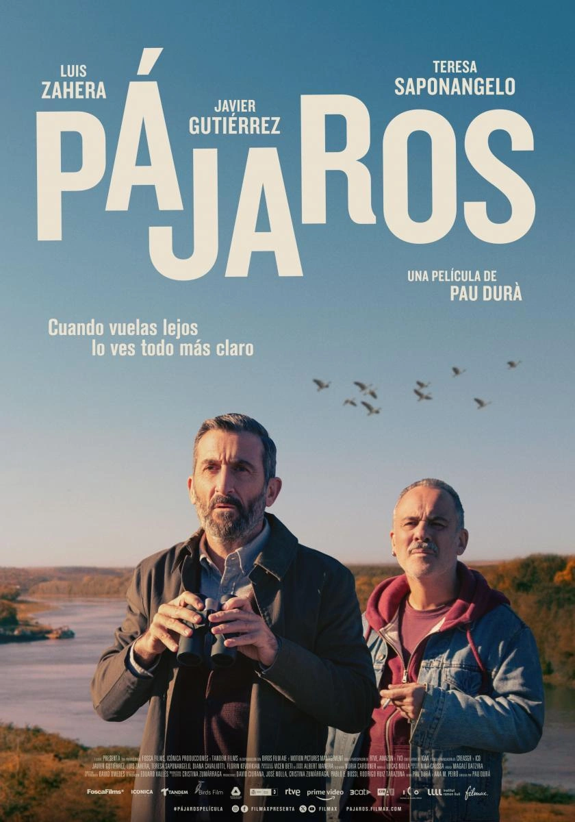 Póster “Pájaros”